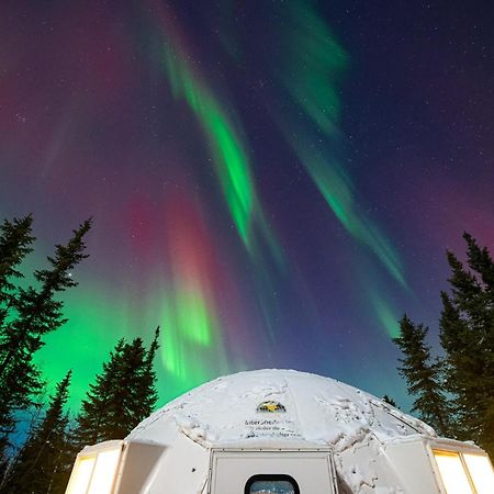 Вилла Pleasant Acres Reindeer Ranch Pleasant Valley Экстерьер фото