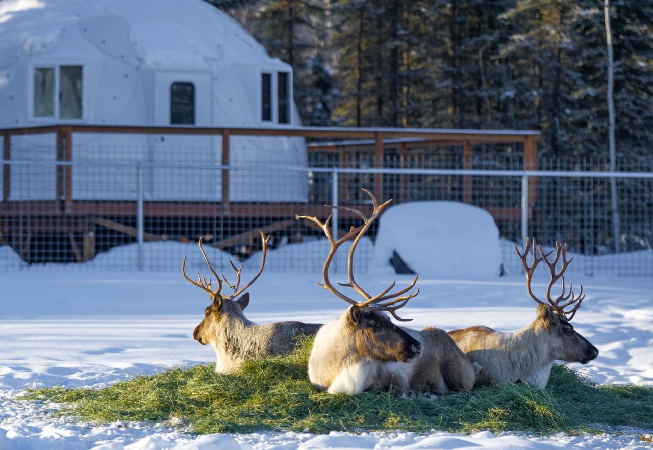 Вилла Pleasant Acres Reindeer Ranch Pleasant Valley Экстерьер фото