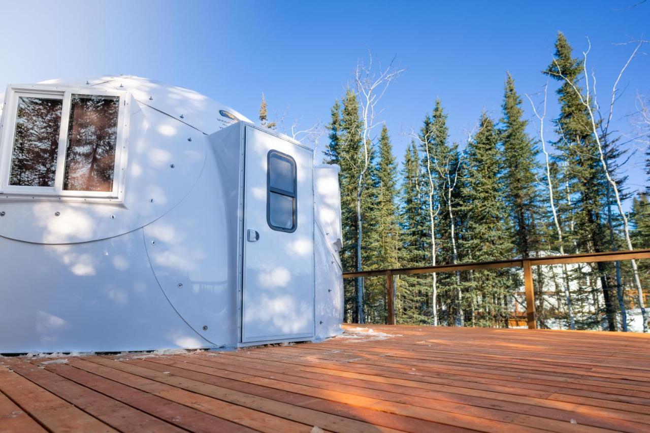Вилла Pleasant Acres Reindeer Ranch Pleasant Valley Экстерьер фото